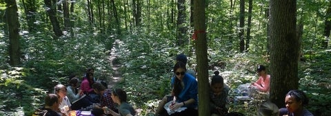 students identifying plants in woodlot