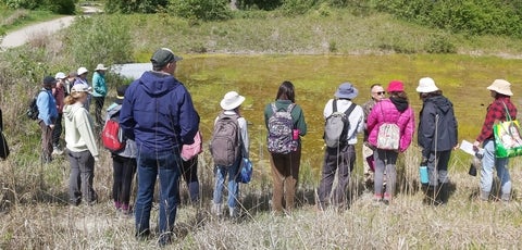 Students conducting (ELC) Ecological Land Classification in North Campus