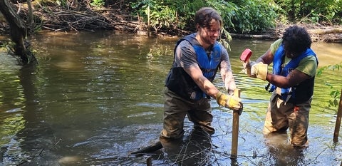 Field Ecology students doing restoration work in Laurel Creek