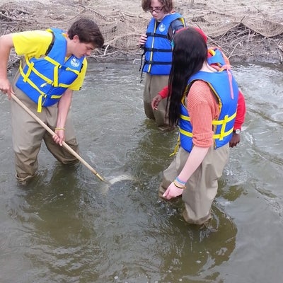 Student catching benthic invertebrates in the water