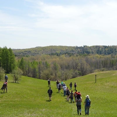 Students walking down a hill