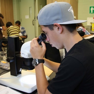Student looking through microscope 