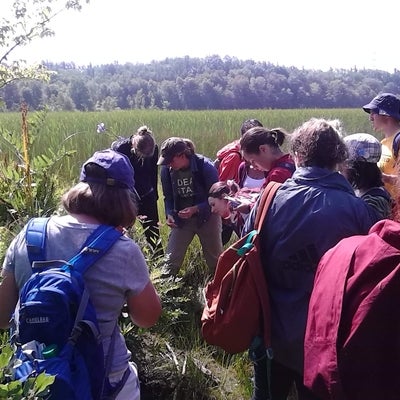 Students looking at a plant
