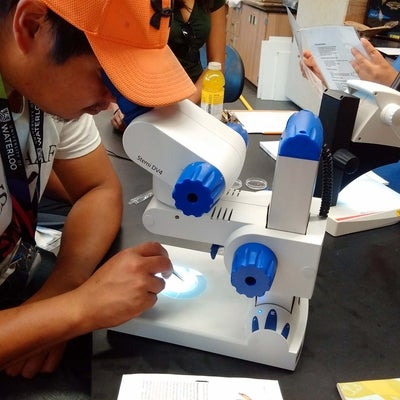 Student looking through microscope