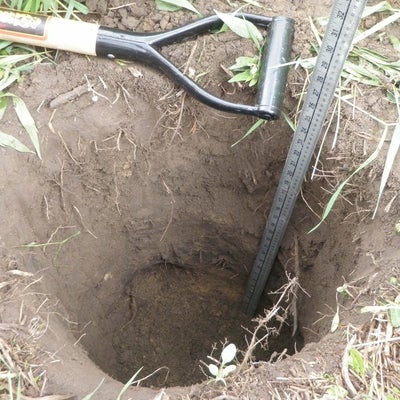 Soil pit with a shovel near the hole