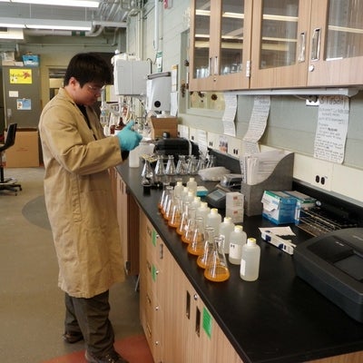 Student doing chlorides testing