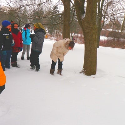 Students looking at squirrel tracks