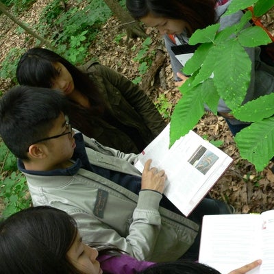 Students trying to identify a tree using an identification book