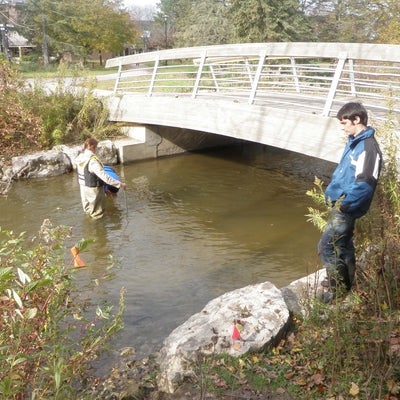 Students in waders in laurel creek