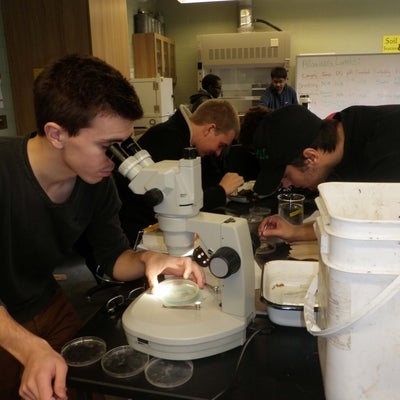 Students looking through microscope