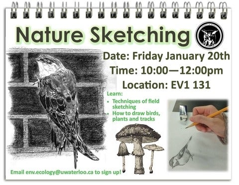 nature sketch workshop