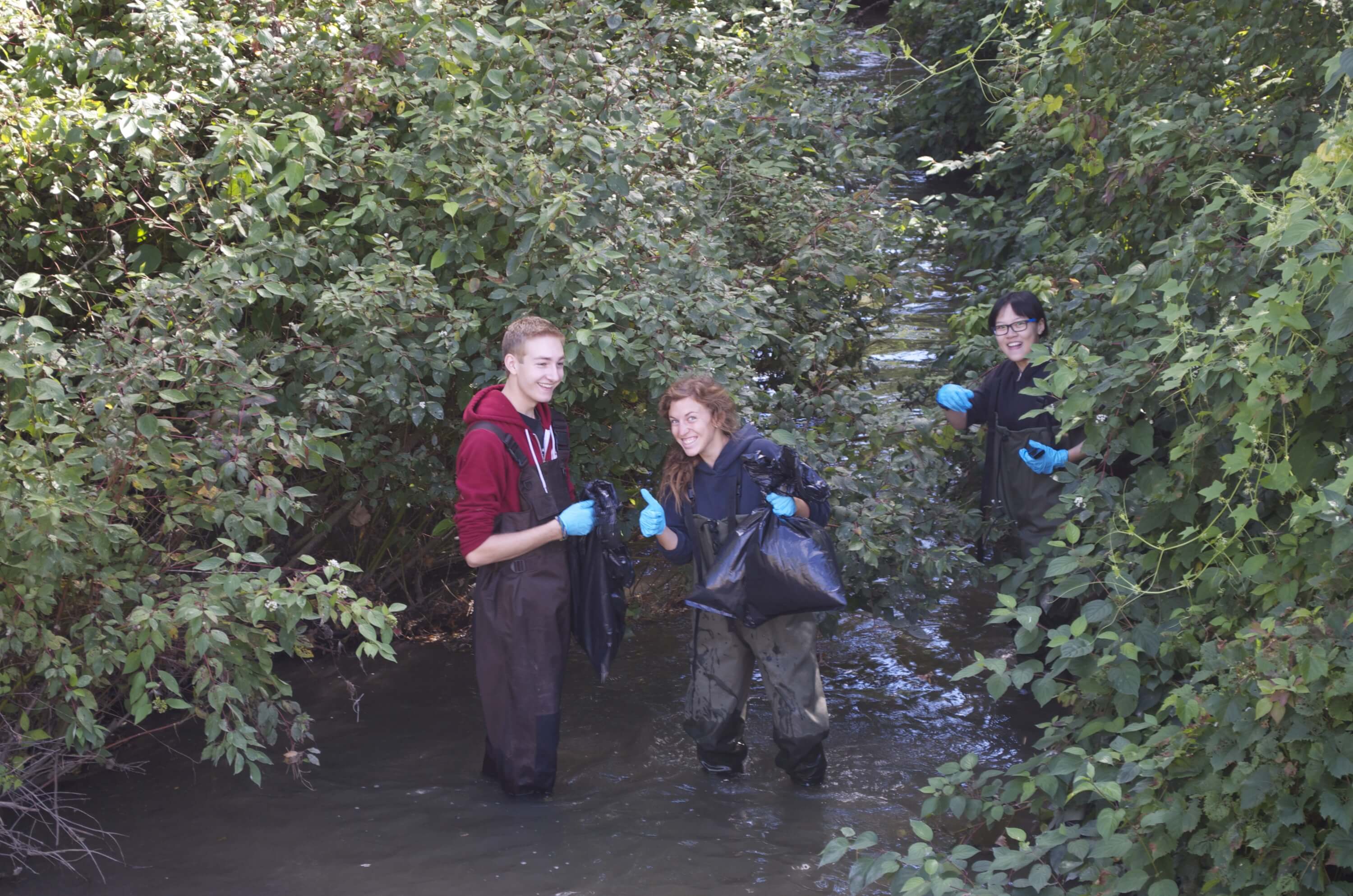 Students cleaning in Laurel Creek