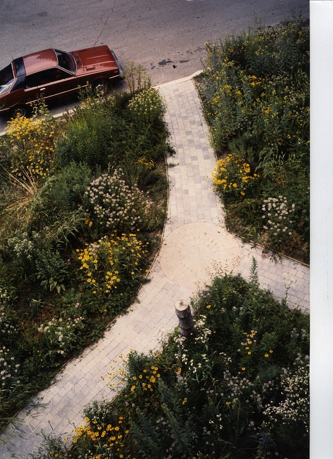 Aerial photo of the pathways in garden