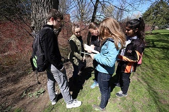 students identifying tree with field guides