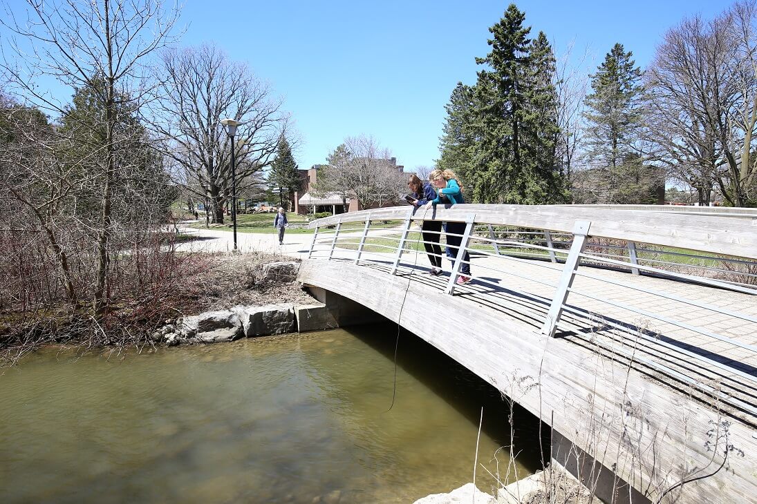 Students hanging YSI probes over bridge, into the water