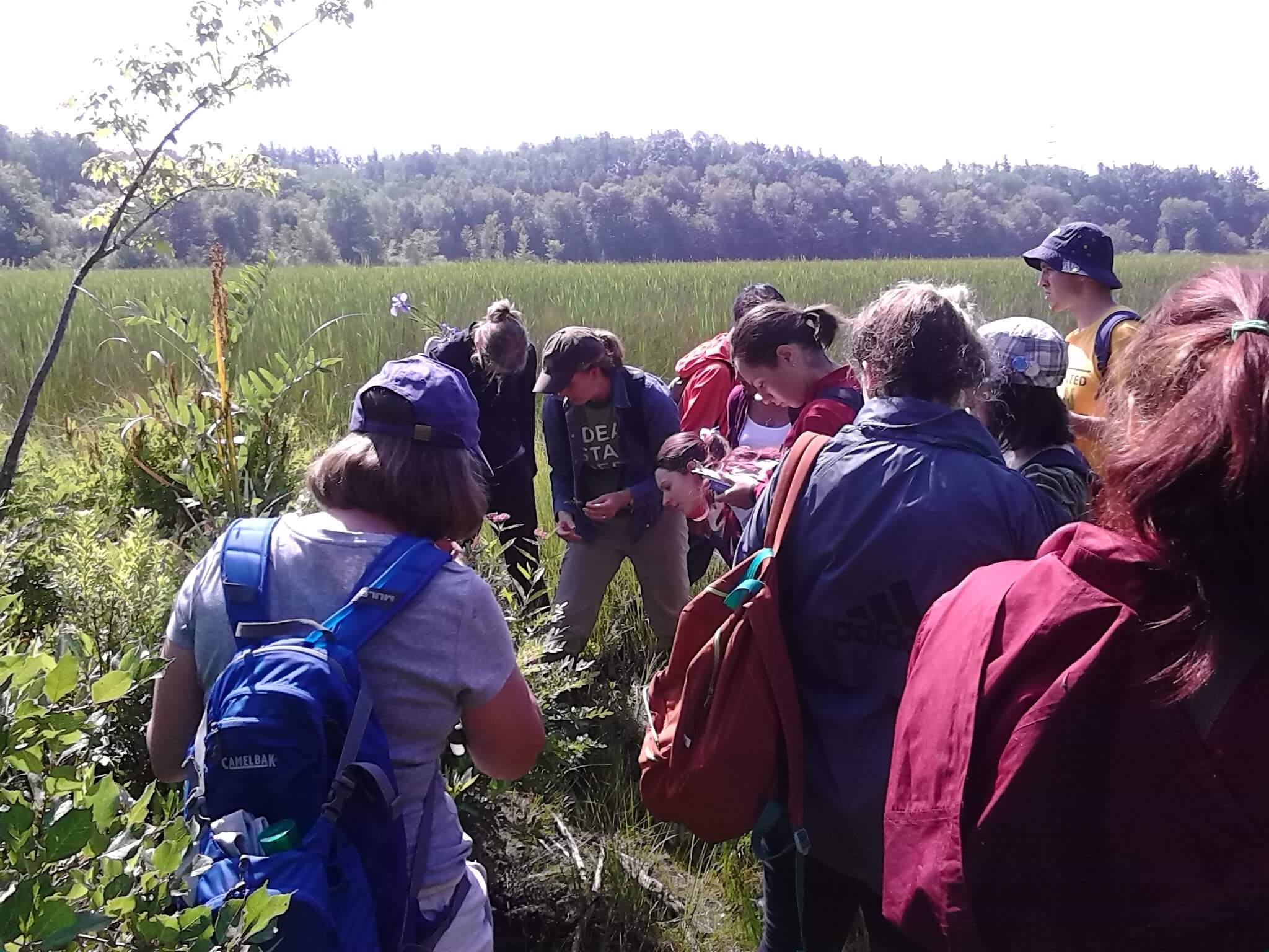 Students looking at a plant
