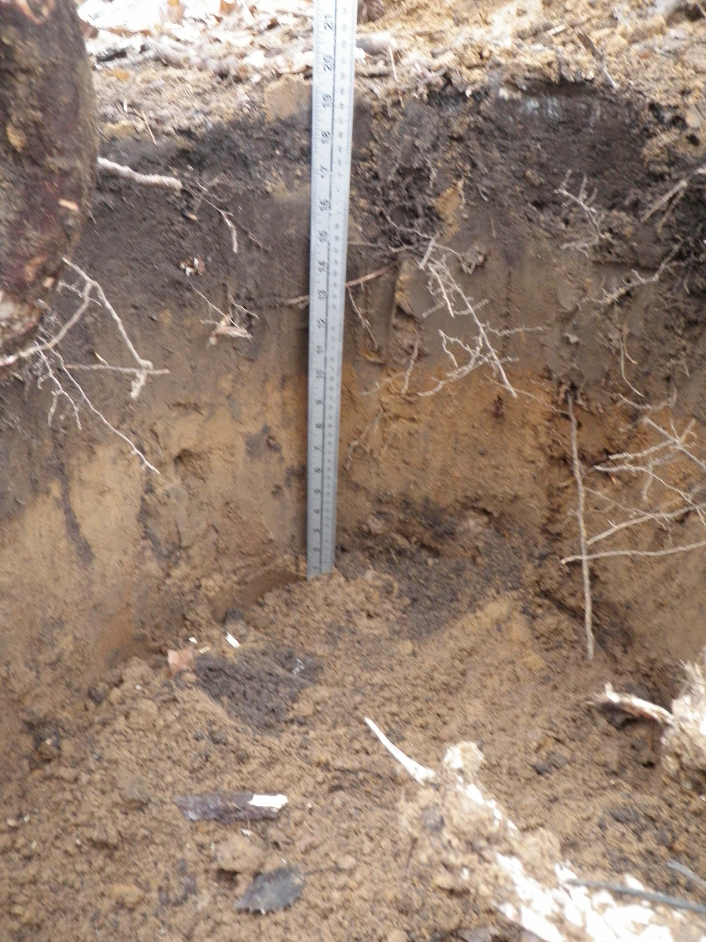 Soil pit showing two different colours