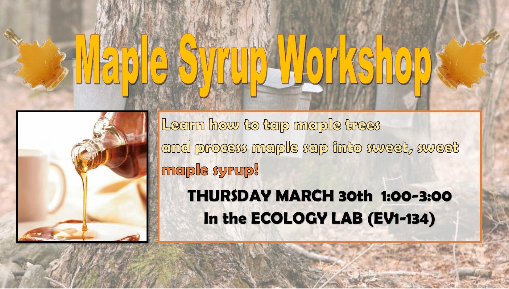 maple syrup workshop, March 30, 1 - 3pm
