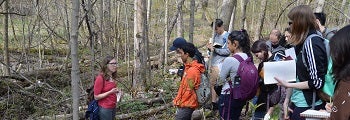 students in a woodlot