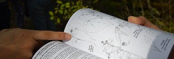Finger pointing at a picture in a wildflower field guide