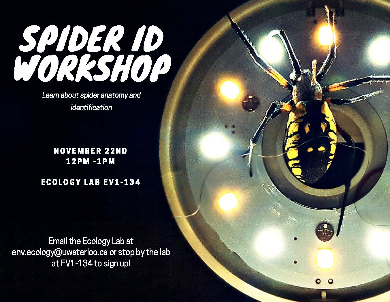 spider ID poster