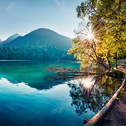 landscape of clear blue water in the foreground, a tree with sun peaking through in the mid ground and mountain peaks in the background