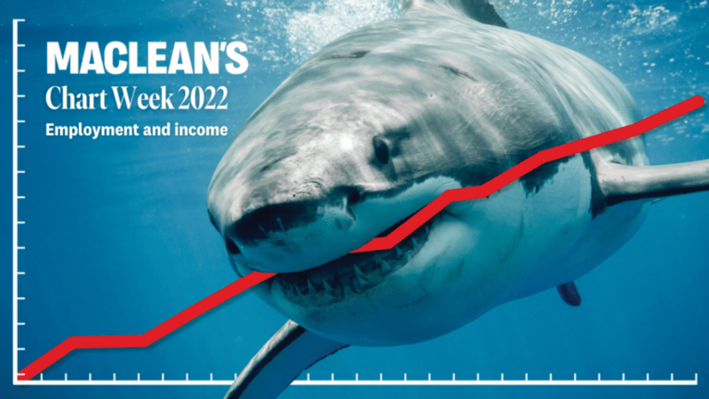 photo of a shark biting a data line in a chart