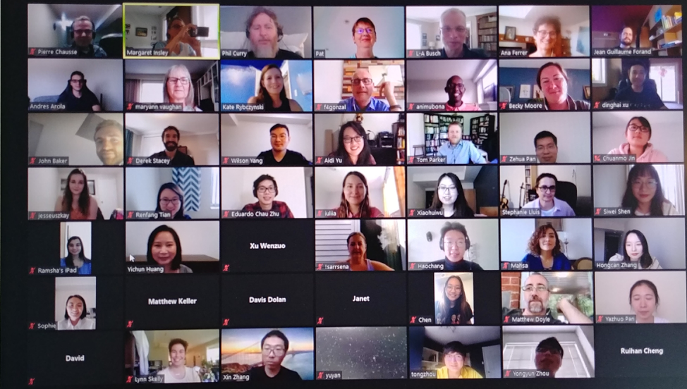 20 people in a gallery view in an online meeting