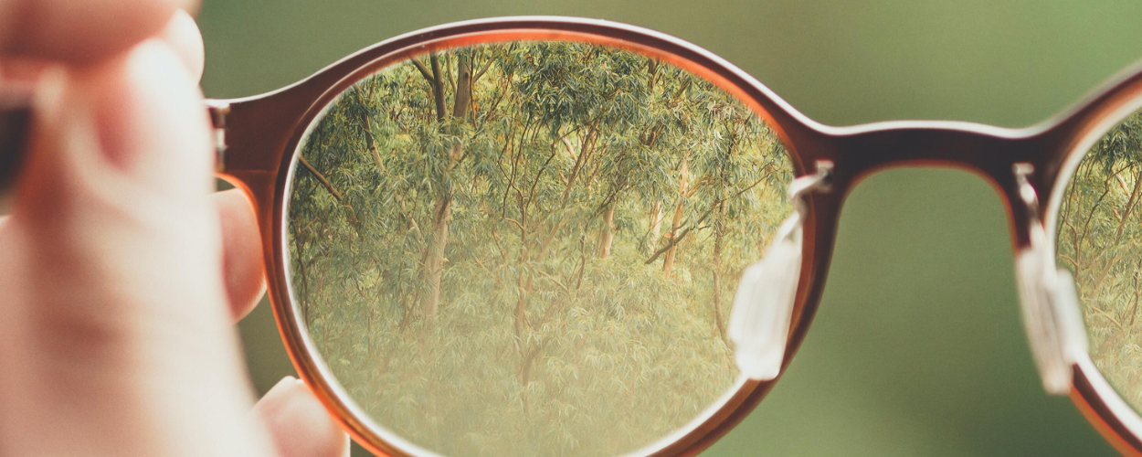 holding glasses and seeing the trees
