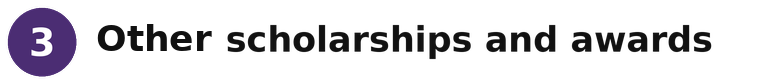 other Scholarships and Awards