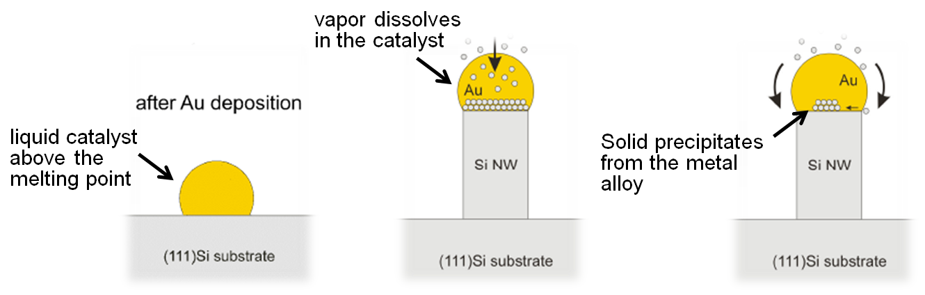 nanoparticle diagram