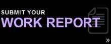 Submit your work report