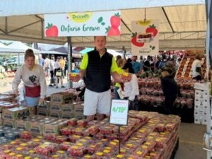 fruit and veg market stand