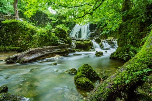 gentle waterfall and stream