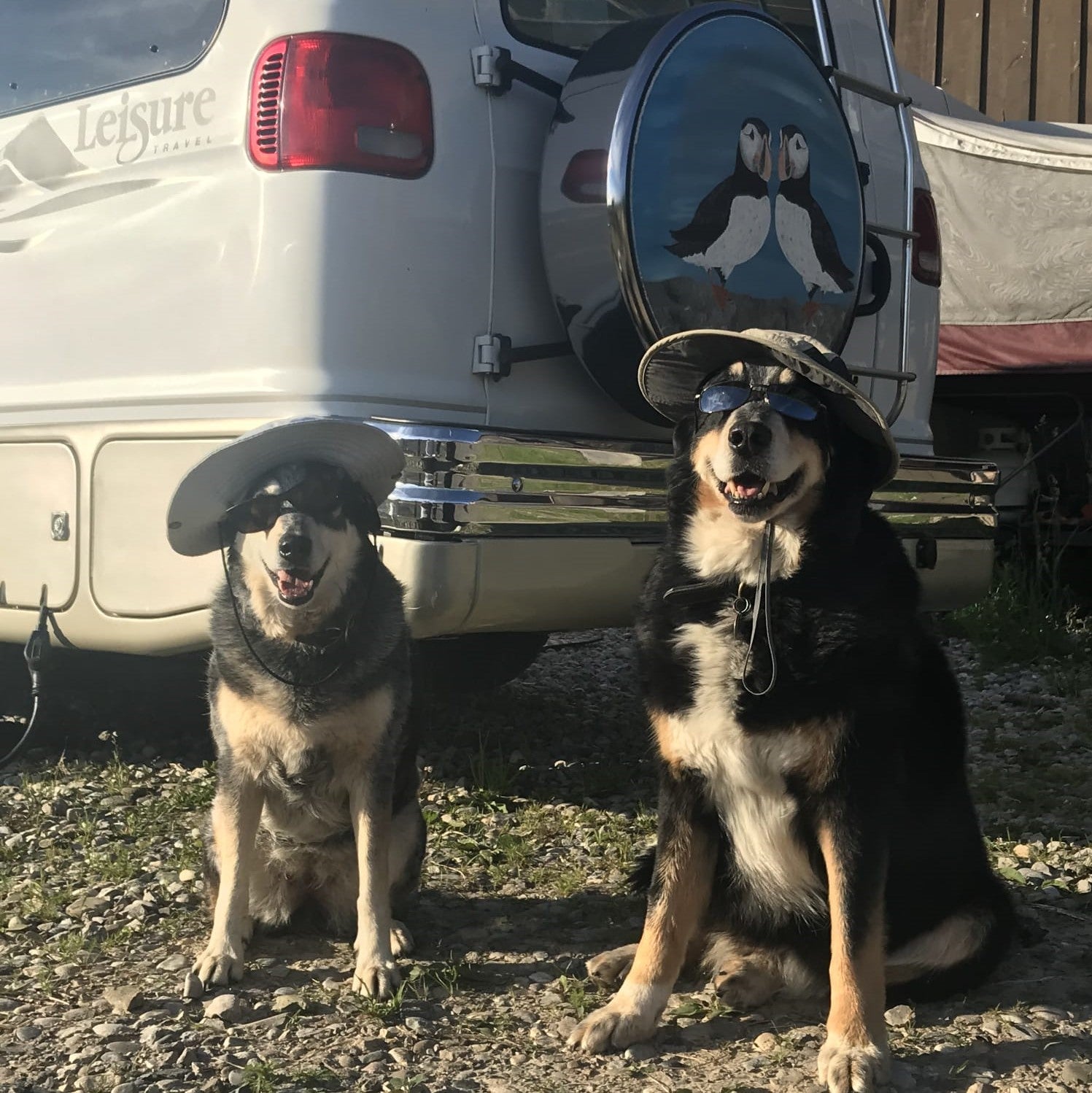 Picture of Toby and Gracie wearing hats sitting behind a car