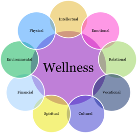 the nine dimensions of wellness web graphic