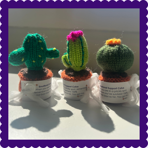 cactus-crochet