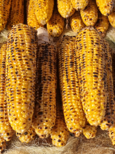 roated corn on the cob