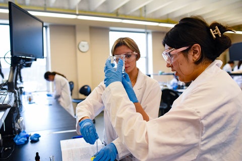Lab researchers doing an experiment