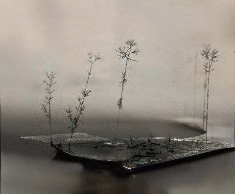 Lab bench nanoforest