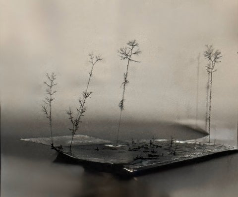 A forest-like image created during academic research at Waterloo Engineering.