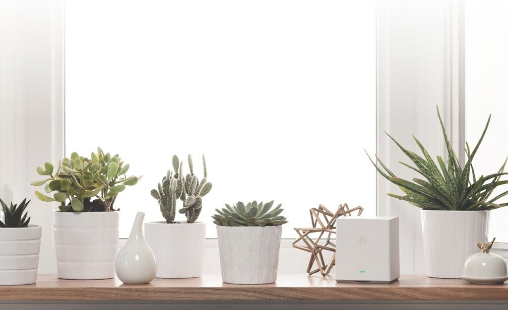 Aura device blends in on a window ledge.