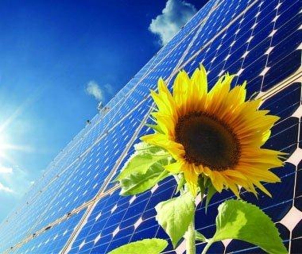 Online green energy program