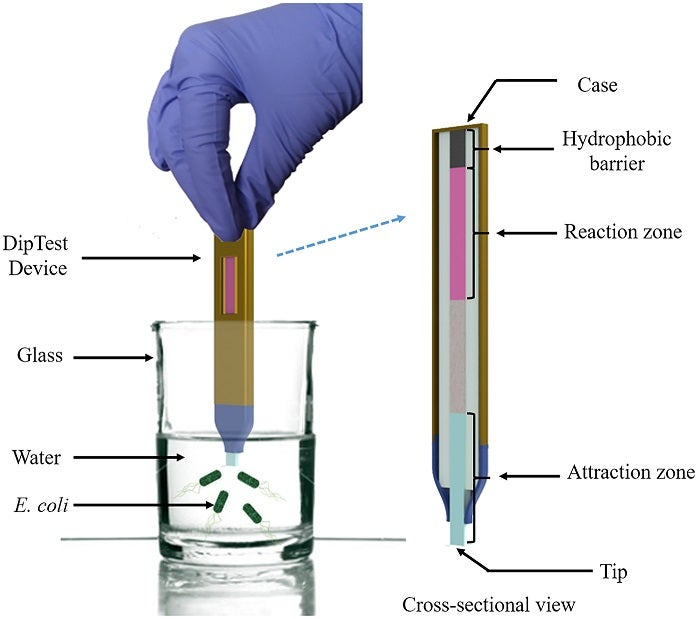 Graphic showing how DipTest strips work.
