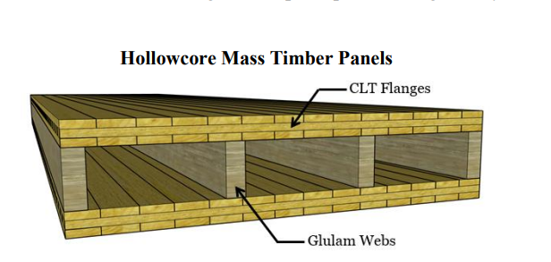 Hollowcore mass timber panels