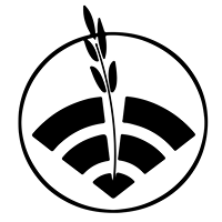 IntelliCulture logo