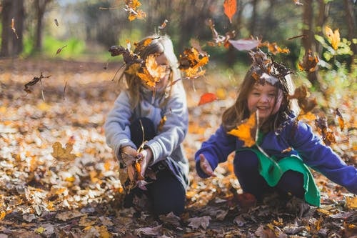 two children playing in the leaves