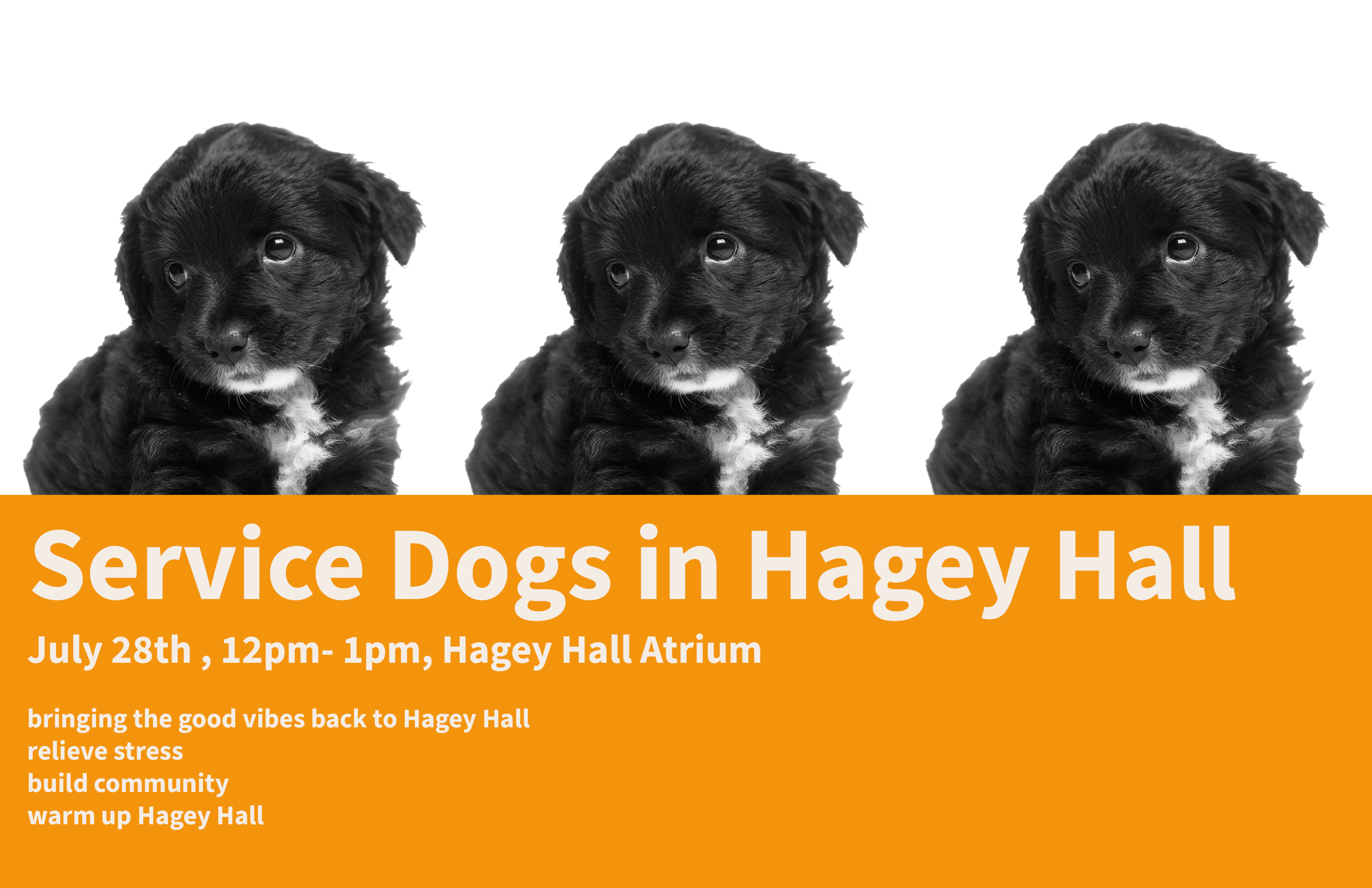 Service Dogs in Hagey Hall July 28