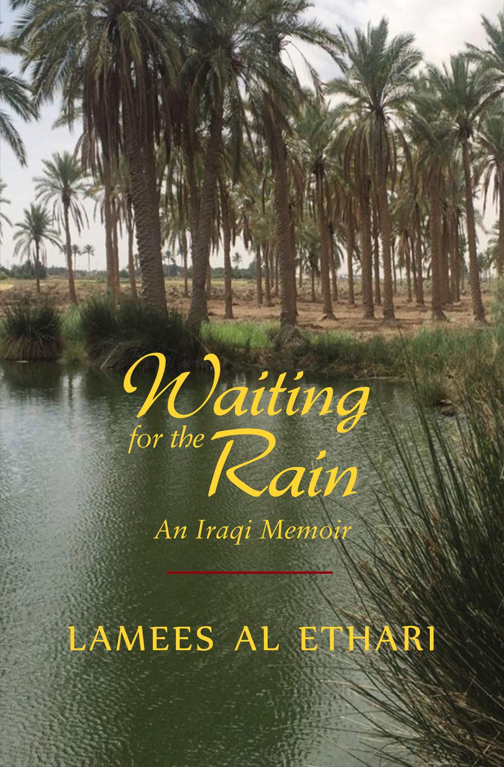 Photo of book cover for Waiting for the Rain.