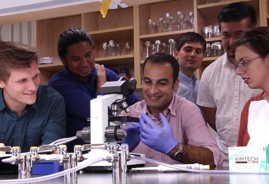 Satter Taheri-Araghi works with students in his lab